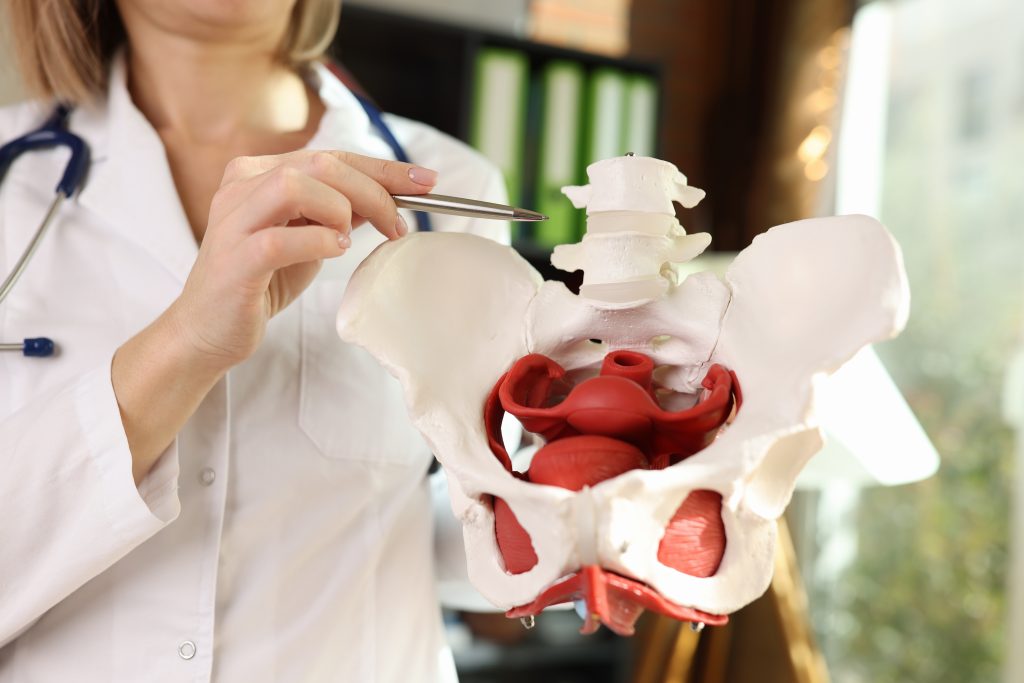 Pelvic Organ Prolapse and Physiotherapy Treatments